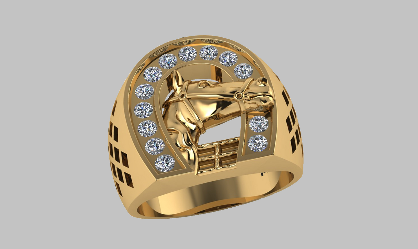 Anillo de Caballo en Herradura